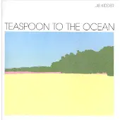 Cd Teaspoon To The Ocean