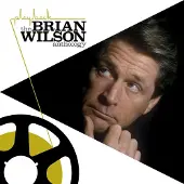 Rhino Brian Wilson - PLAYBACK THE ANTHOLOGY | Vinyl