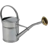 Talentools Gieter | | 2 liter (Broeskop, Metaal, Verzinkt)