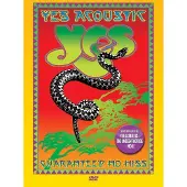 Import Yes - Yes Acoustic