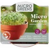 Buzzy Microgreens Kiemgroentezaad Tatsoi (Brassica Narinosa) 6,2 X 6,2 X 11 Cm