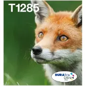 Epson Multipack 4-colours T128 EasyMail