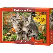 Castorland Kitten Buddies Puzzel (1500 stukjes)