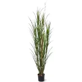 Maxifleur Kunstplanten Kunst Rietgras plant deluxe 165cm - groen - UV bestendig