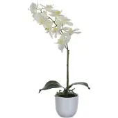 Mica Kunstbloem Phalaenopsis in pot tusca wit, hoogte 60 cm, wit