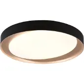 TRIO REALITY ZETA - Plafondlamp - Zwart - incl. 1x SMD 24W