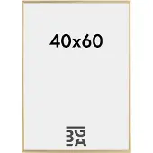 Walther design Galeria - Kunststof lijst - Fotoformaat 40x60 cm - Metallic Goud