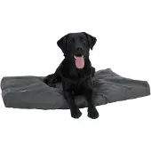 Kruuse Memory Foam Dog Bed