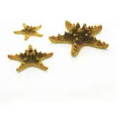 BiOrb zeester set - geel