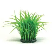 BiOrb Aquariumtoebehoren kleine grasring groen