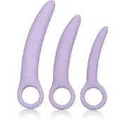 California exotic novelties Alena Set of 3 Silicone Dilators - Purple