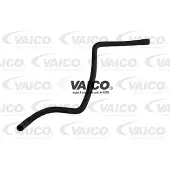VAICO V30-0242 Radiateurslang