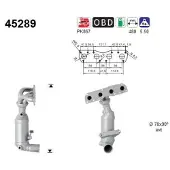As 45289 Katalysator