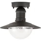 Rabalux - Plafondlamp voor buiten / Diameter: 24 cm - Zwart