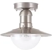 Rabalux 8763 Buitenwandlamp Oslo, E27, zilver, rond, diameter 240mm