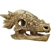 Superfish Skull T Rex M aquaria
