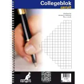 Kangaro collegeblok - A4 - ruit - 60 grams - spiraal - 23-gaats - 5 stuks - K-5574-5