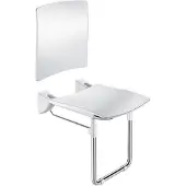 Delabie Opklapb. douchezitje extra comfort + rugsteun + voet RVS mat