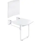 Delabie Opklapb. douchezitje extra comfort + rugsteun + voet epoxy