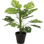 J-Line Philodendron in pot plastiek groen small