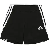 Adidas Ar 3 Striker Shorts Zwart 6-7 Years Jongen