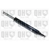 Quinton Hazell QAG181184 Schokdemper