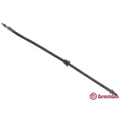 Brembo T 24 031 Remslang