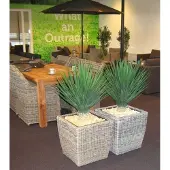 Maxifleur Kunstplanten Yucca Rostrata 80cm