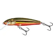 Salmo Minnow 9F 9cm - 10 gram - floating rainbow dace
