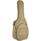Richwood RD-25-SD Master Series gigbag akoestische gitaar