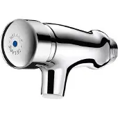 Delabie Inbouw Douchekraan TEMPOSTOP Chroom Nozzle length 50 mm 746001