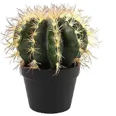 Countryfield Cactus - groen - L18xB18xH30CM - Kunstplant