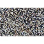 ECS Europese vogels fijn (wildzangzaad) 5kilo