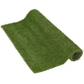 Pflanzen-Kölle Grass plastic L100-W200-H2.20cm green