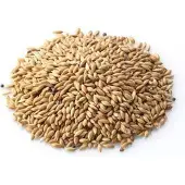 Konacorn Witzaad 18 KG