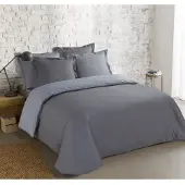 Vision Bicolor - Tweezijdig omkeerbaar Dekbedovertrekset - 100% katoen: zacht en soepel - Kingsize - Dekbedovertrek 260 x 240 cm met 2 bijhorende slopen - Grijs / Lichtgrijs - Oekotex gecertificeerd