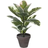 Mica Decorations Kunstplant rubberplant H34 cm groen