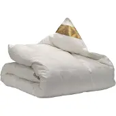 Ten Cate 100% Ganzendonzen 4-Seizoenen Dekbed 200x200 cm