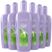 Andrélon Iedere Dag Shampoo - 6 x 300 ml - Voordeelverpakking