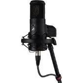 Warm Audio WA-8000 Condenser Microphone