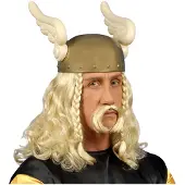 Widmann Carnavalsaccessoires: Pruik Noorman Wodan
