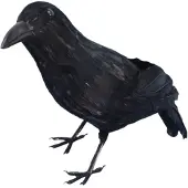 Smiffys Dressing Up & Costumes | Costumes - Halloween - Crow