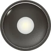 Ks Verlichting Plafondspot Icon Antraciet