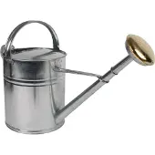 Talentools Gieter | | 10 liter (Broeskop, Metaal, Verzinkt)