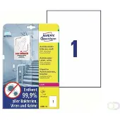 Avery Bedrukbare antimicrobiële etiketten 210 x 297 mm, wit, Laserprinter, Kopieerapparaat, permanent klevend L8001-10