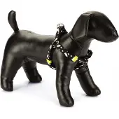 Beeztees Hondentuig Thunder Zwart 46-75 X 2 Cm