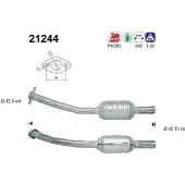 As 21244 Katalysator