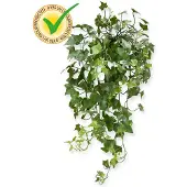 Maxifleur Kunstplanten Hedera kunst hangplant 65cm - UV bestendig