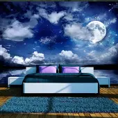Karo-art 245cm X 175cm - Zelfklevend fotobehang - Magische nacht , Premium Print