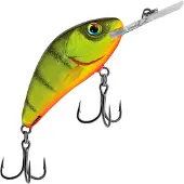 Salmo Rattlin' Hornet Floating Hot Perch 5,5 cm 10,5 g Wobbler